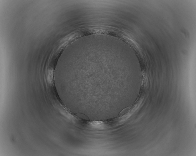 X0000115490189200911061314