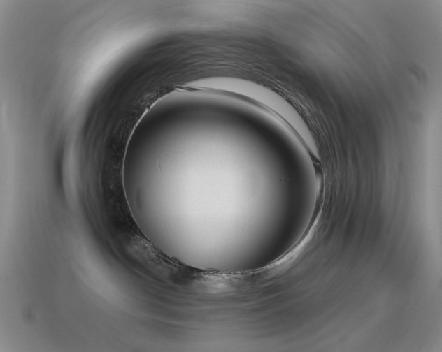 X0000115490190200911061314