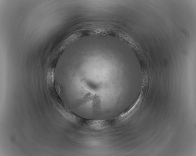 X0000115490191200911061314