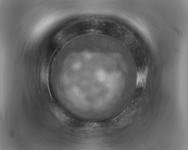 X0000115490195200911061314