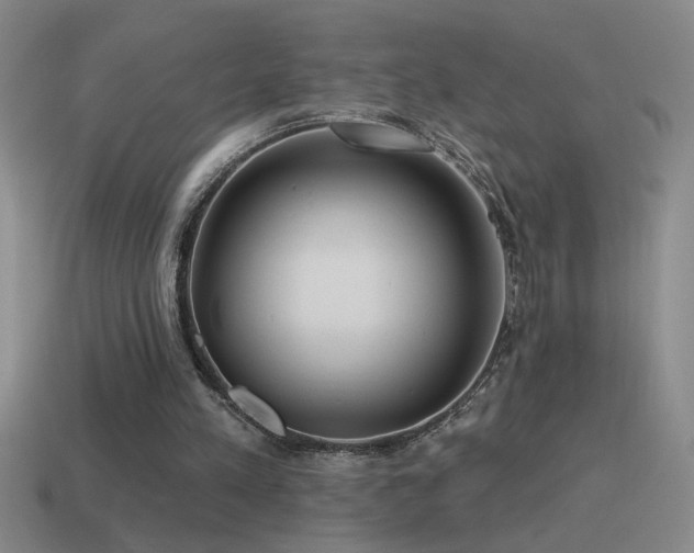 X0000115490197200911061314