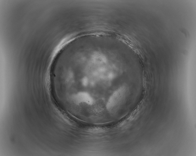 X0000115490198200911061314