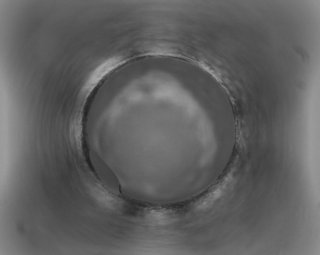X0000115490199200911061314