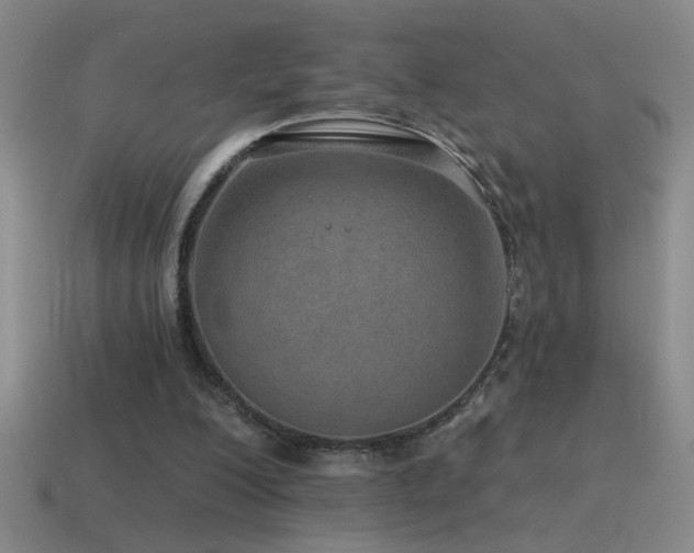 X0000115490200200911061314