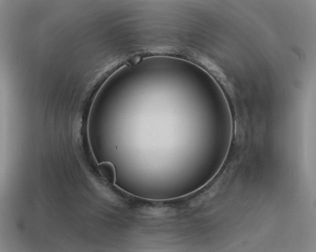 X0000115490201200911061314
