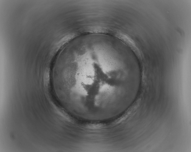X0000115490202200911061314