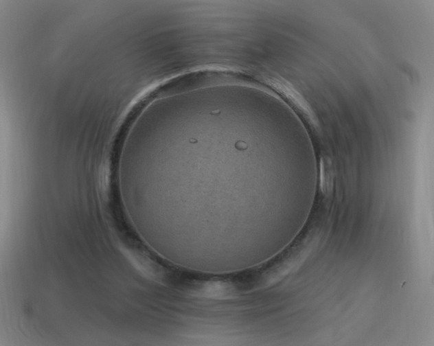 X0000115490204200911061314