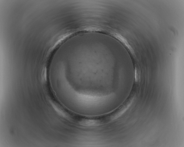X0000115490205200911061314