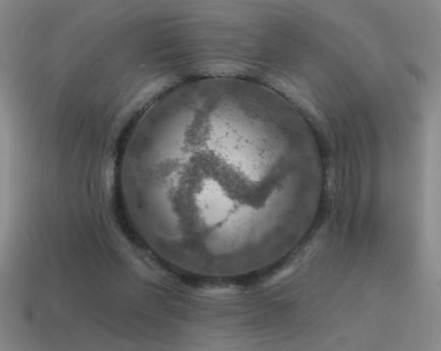 X0000115490206200911061314