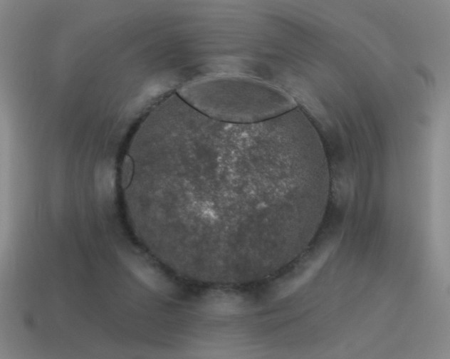 X0000115490207200911061313