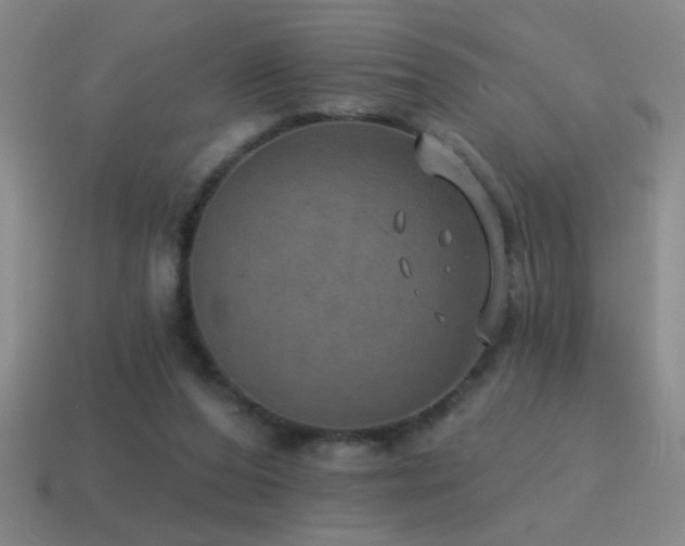 X0000115490208200911061313