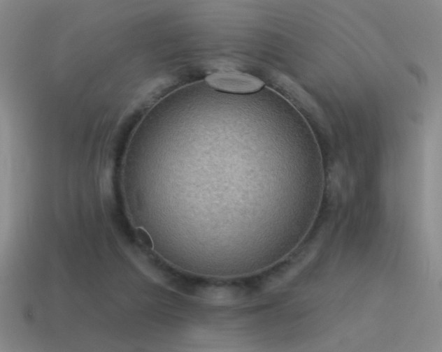 X0000115490209200911061313