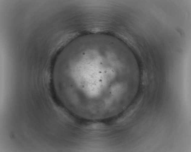 X0000115490210200911061313
