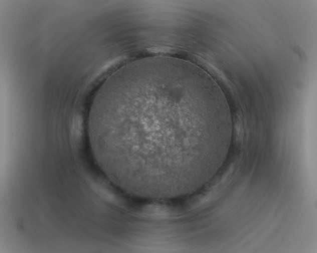 X0000115490211200911061313