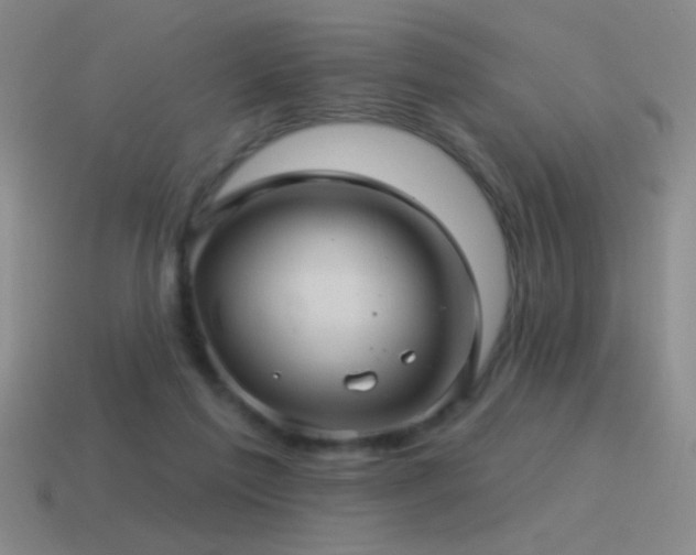 X0000115490213200911061313