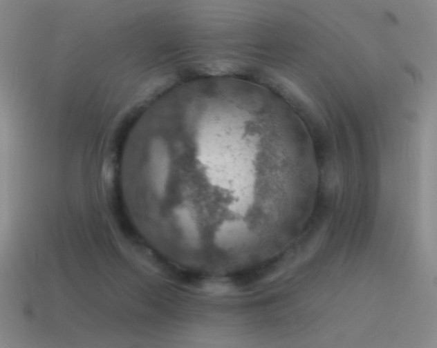 X0000115490214200911061313