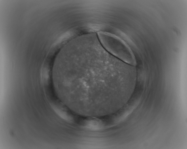 X0000115490215200911061313