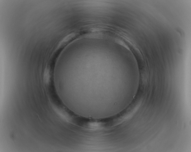 X0000115490216200911061313