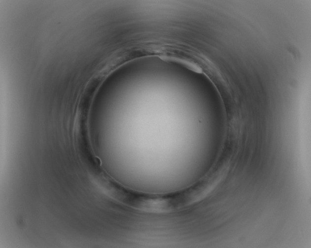 X0000115490217200911061313