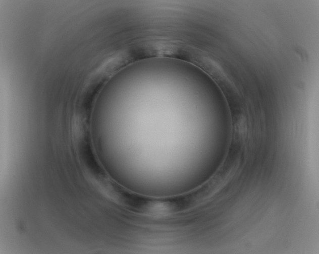 X0000115490218200911061313