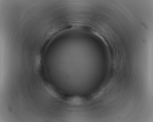 X0000115490219200911061313