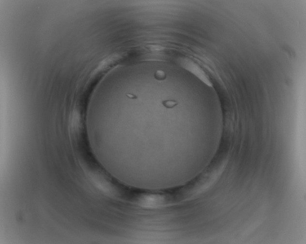 X0000115490220200911061313