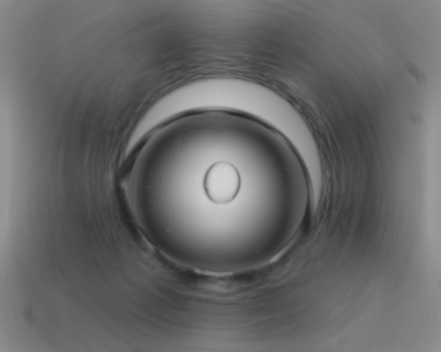 X0000115490221200911061313