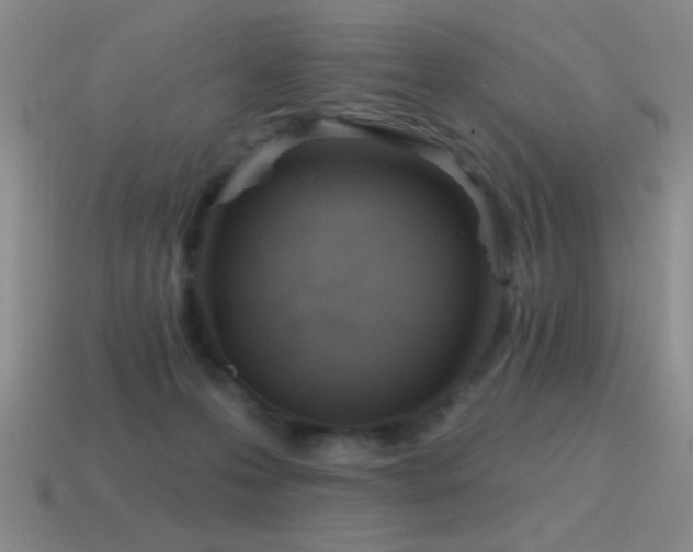 X0000115490223200911061313
