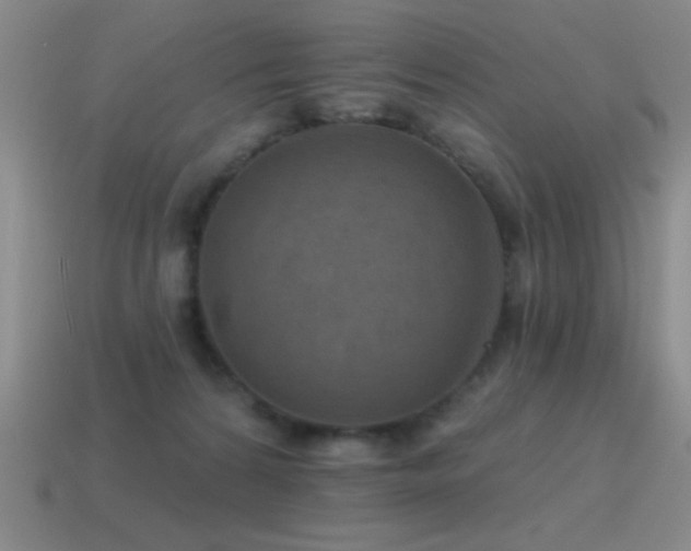 X0000115490224200911061313