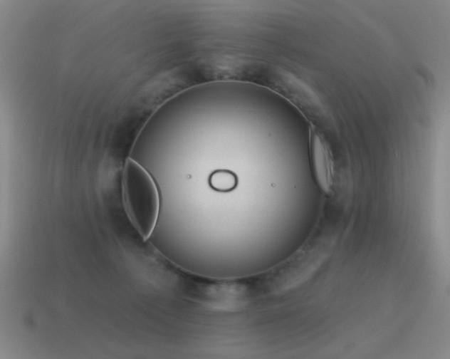 X0000115490225200911061313