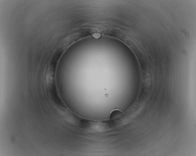 X0000115490226200911061313