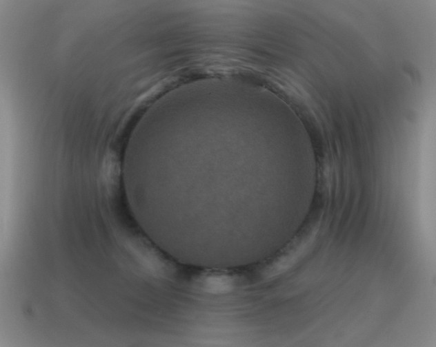 X0000115490228200911061313