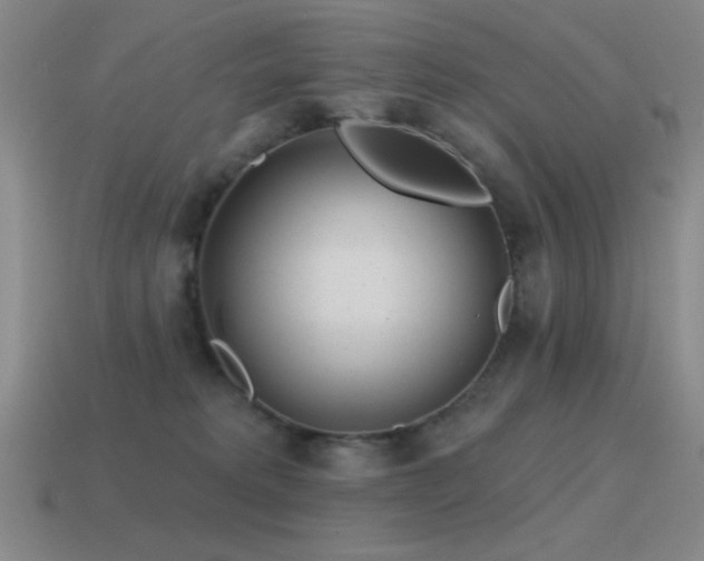 X0000115490229200911061313