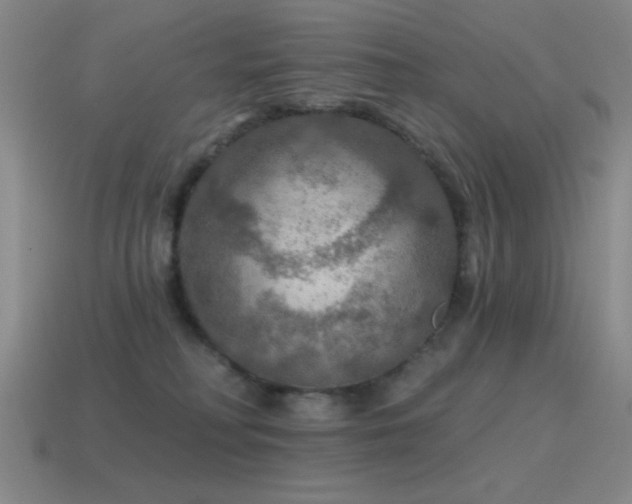 X0000115490230200911061313