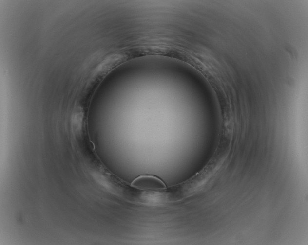 X0000115490231200911061313