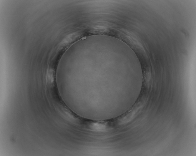 X0000115490232200911061313