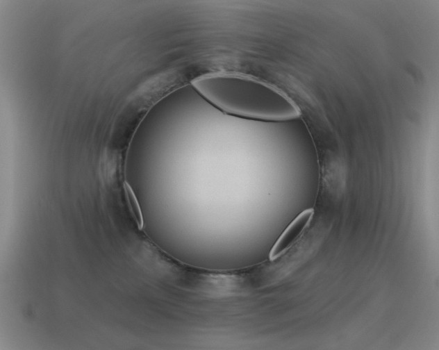X0000115490233200911061313