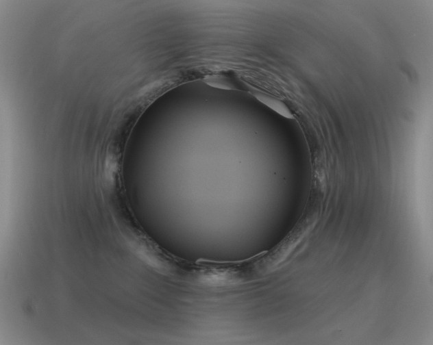 X0000115490235200911061313