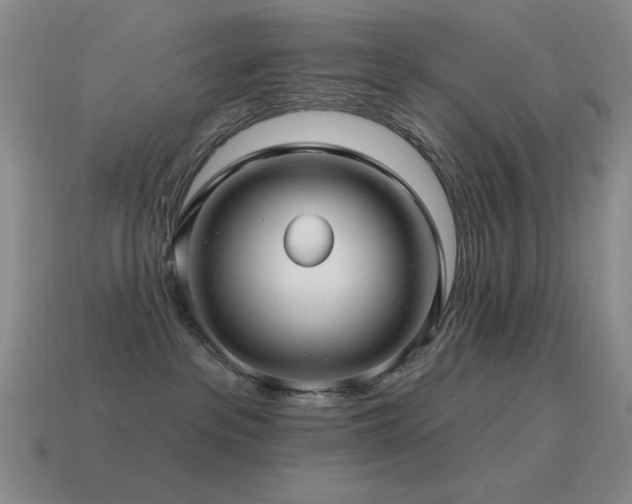 X0000115490237200911061313