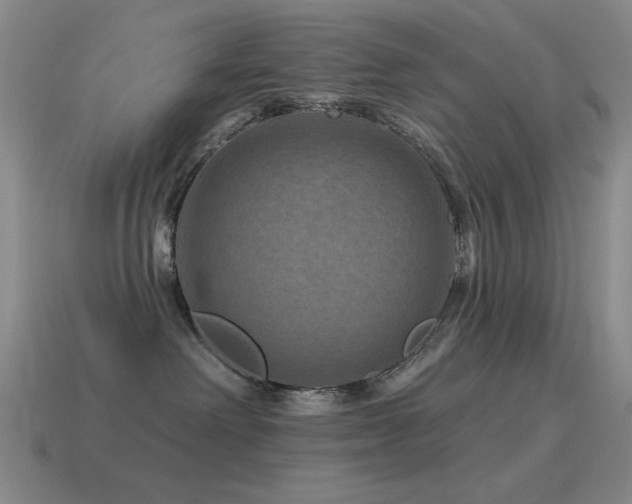 X0000115490238200911061313
