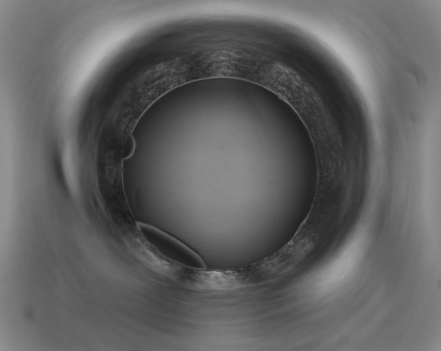 X0000115490239200911061313