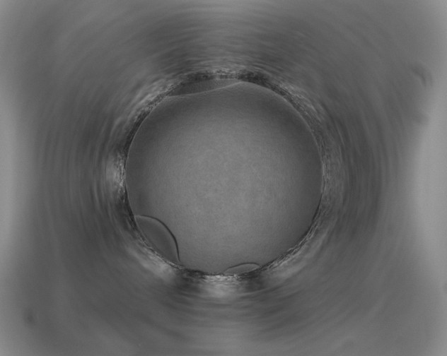 X0000115490240200911061313