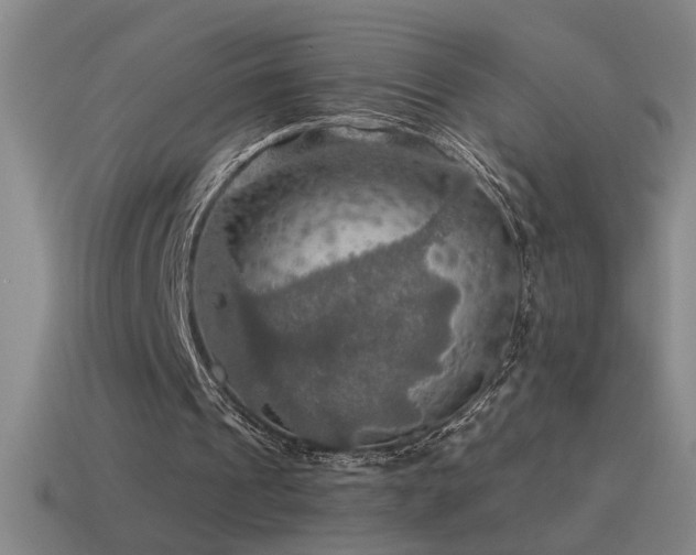 X0000115490241200911061312