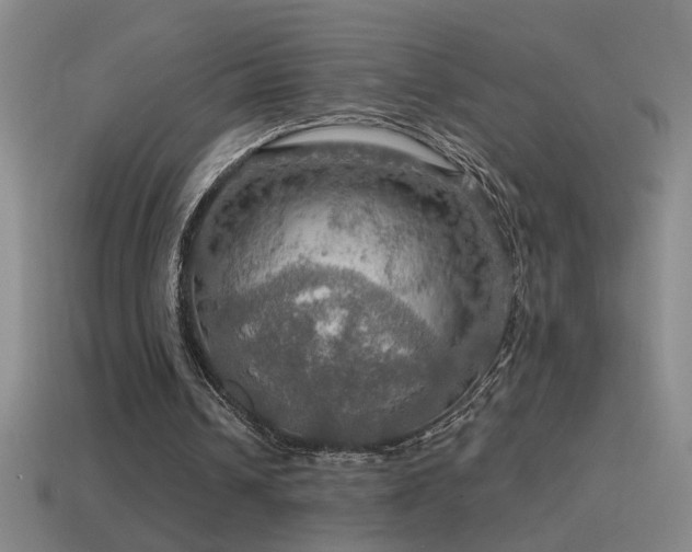 X0000115490242200911061312