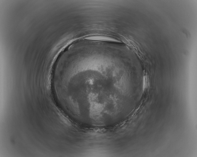 X0000115490243200911061312