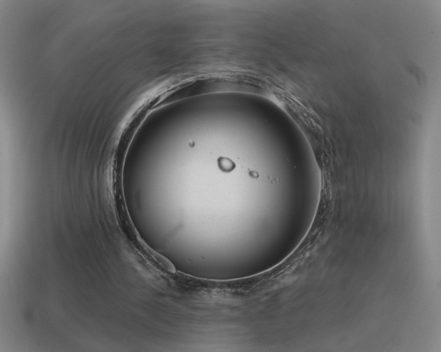 X0000115490244200911061312