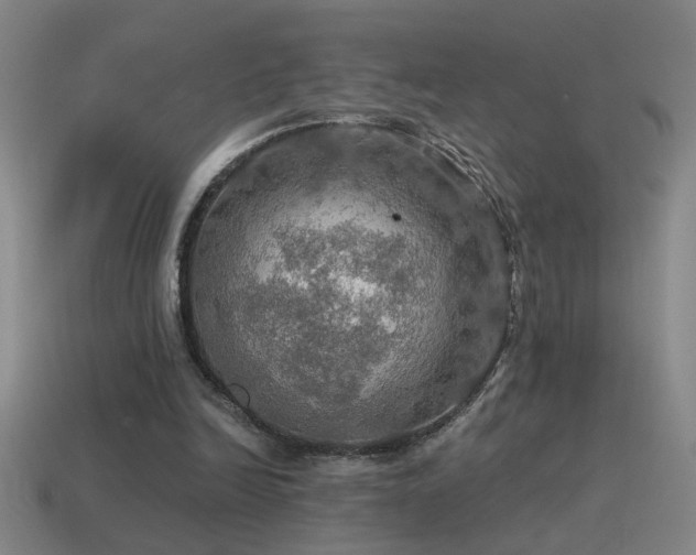 X0000115490246200911061313