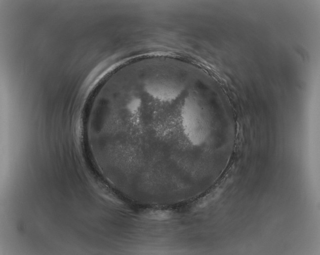 X0000115490247200911061313