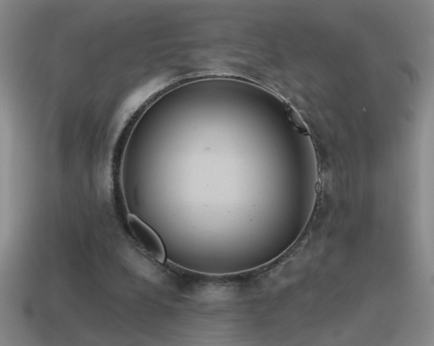 X0000115490248200911061313