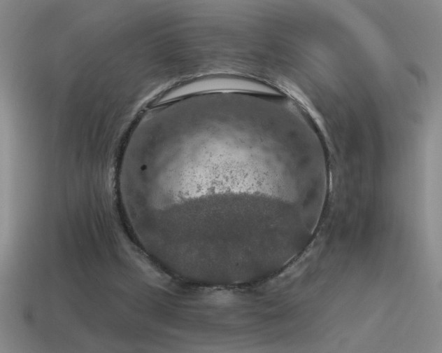 X0000115490249200911061313